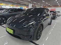 Tesla Model Y Rear-Wheel Drive - photo 1