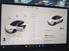 Tesla Model Y Rear-Wheel Drive - photo 11