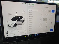 Tesla Model Y Rear-Wheel Drive - photo 12