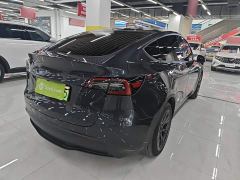 Tesla Model Y Rear-Wheel Drive - photo 6
