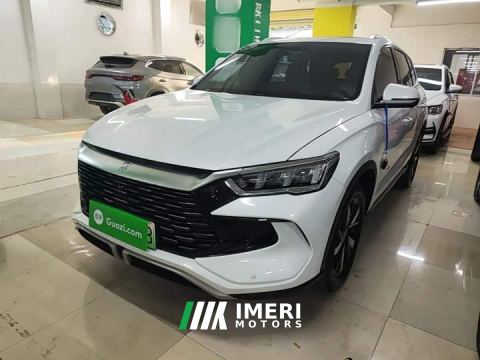 2023 BYD Song Pro New Energy Champion Edition DM-i 110KM Excellence - ავტომობილი ჩინეთიდან