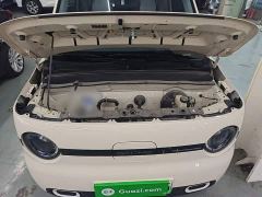 Geely Panda Mini 210km Vitality Edition - ფოტო 19