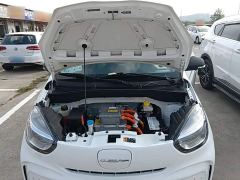 SAIC Corey Wei CLEVER 302km New Four-Seat Super Version - photo 19
