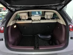 Nio Firefly Luminous Edition - ფოტო 18