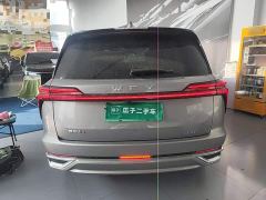 Great Wall WEY Blue Mountain Four-Wheel Drive Extended Range Version - ფოტო 5