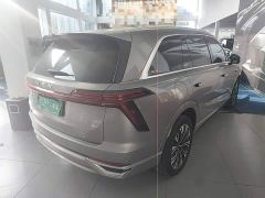 Great Wall WEY Blue Mountain Four-Wheel Drive Extended Range Version - ფოტო 6