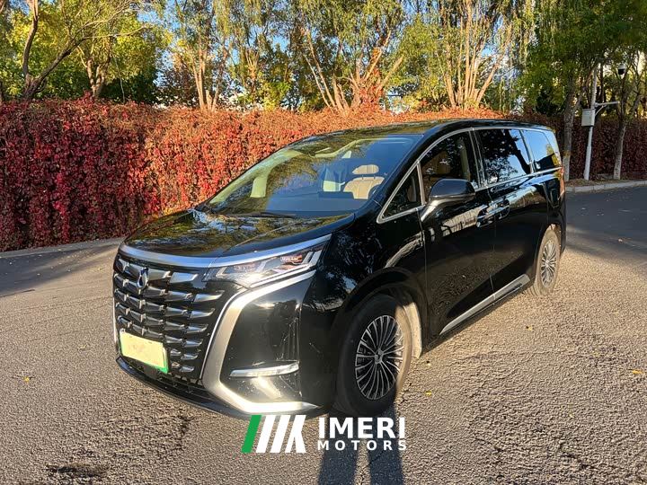 Denza D9 DM-i 1050 Premium - ავტომობილი ჩინეთიდან