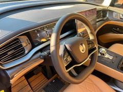 Denza D9 DM-i 1050 Premium - ფოტო 16