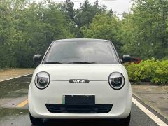 Changan Lumin 205km Xiangqin Edition - ფოტო 2
