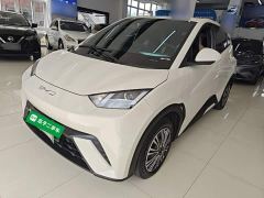 BYD Seagull Glory Edition 305km Vitality Version - ფოტო 1