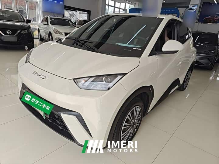 BYD Seagull Glory Edition 305km Vitality Version