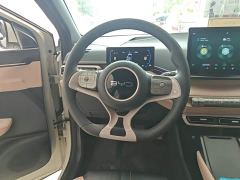 BYD Seagull Glory Edition 305km Vitality Version - ფოტო 10