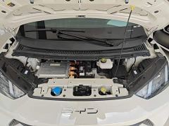 BYD Seagull Glory Edition 305km Vitality Version - ფოტო 19