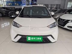 BYD Seagull Glory Edition 305km Vitality Version - ფოტო 2