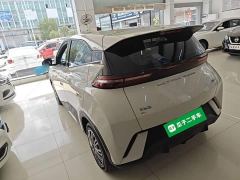 BYD Seagull Glory Edition 305km Vitality Version - ფოტო 4