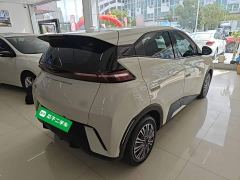 BYD Seagull Glory Edition 305km Vitality Version - ფოტო 6