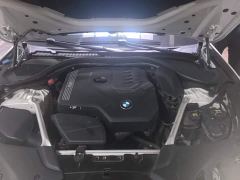 BMW 5 Series Facelift 530Li Luxury M Sport Package - photo 10