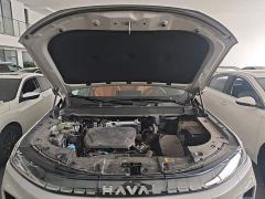 Haval Xiaolong MAX Hi4 165 Ultra Intelligent Driving Edition - photo 19