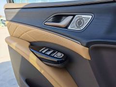 Denza D9 DM-i 970 AWD Premium Edition - ფოტო 11