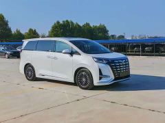 Denza D9 DM-i 970 AWD Premium Edition - ფოტო 3