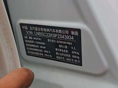 Arcfox Alpha-S 735E Forest Edition 160kW - фото 11