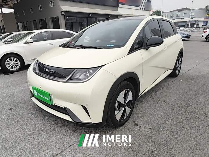 BYD Dolphin 420km Fashion Edition - ავტომობილი ჩინეთიდან