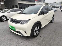 BYD Dolphin 420km Fashion Edition - ფოტო 1