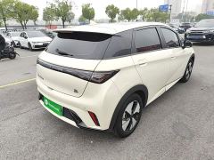 BYD Dolphin 420km Fashion Edition - ფოტო 6