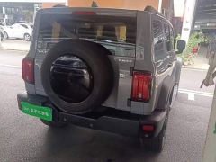 Tank 300 Off-Road Edition 2.0T Conqueror - ფოტო 6