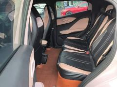 BYD Seagull Freedom Edition - ფოტო 16