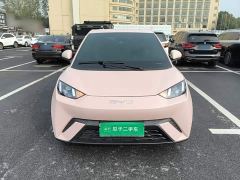 BYD Seagull Freedom Edition - ფოტო 2