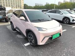 BYD Seagull Freedom Edition - ფოტო 3