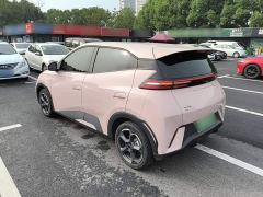 BYD Seagull Freedom Edition - ფოტო 4