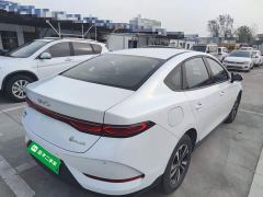 BYD Qin PLUS DM-i Smart Drive 128KM Entry-Level - ფოტო 6