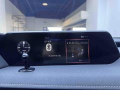 Lexus UX New Energy 300e Pure Enjoyment Edition - фото 12