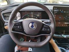 Denza D9 DM-i 980 Four-Wheel Drive Premium - ფოტო 10