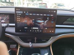 Denza D9 DM-i 980 Four-Wheel Drive Premium - ფოტო 12