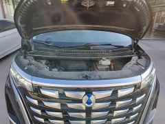 Denza D9 DM-i 980 Four-Wheel Drive Premium - ფოტო 19