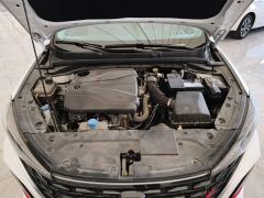 Changan Eado Enjoy Plus Blue Whale NE 1.4T GDI DCT Luxury Edition - photo 19