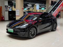Tesla Model Y Performance All-Wheel Drive - фото 1