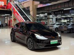 Tesla Model Y Performance All-Wheel Drive - фото 3