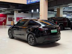 Tesla Model Y Performance All-Wheel Drive - фото 4