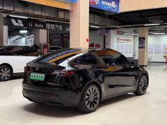 Tesla Model Y Performance All-Wheel Drive - фото 6