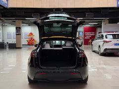 Tesla Model Y Performance All-Wheel Drive - фото 8