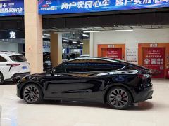 Tesla Model Y Performance All-Wheel Drive - фото 9