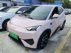 BYD Seagull Smart Driving Edition 305km Freedom Edition - фото 1
