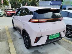BYD Seagull Smart Driving Edition 305km Freedom Edition - фото 4