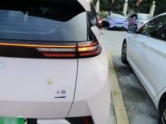 BYD Seagull Smart Driving Edition 305km Freedom Edition - фото 7