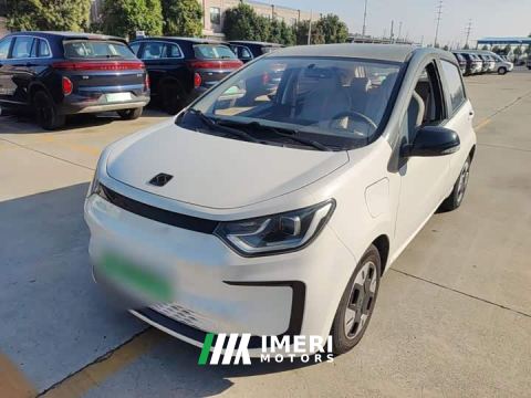 2023 JAC Flower Fairy Flower Fairy Four-Leaf Clover - ავტომობილი ჩინეთიდან