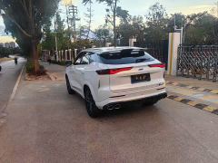 Changan Oushan Z6 Blue Whale 1.5T DCT Smart Edition - ფოტო 9